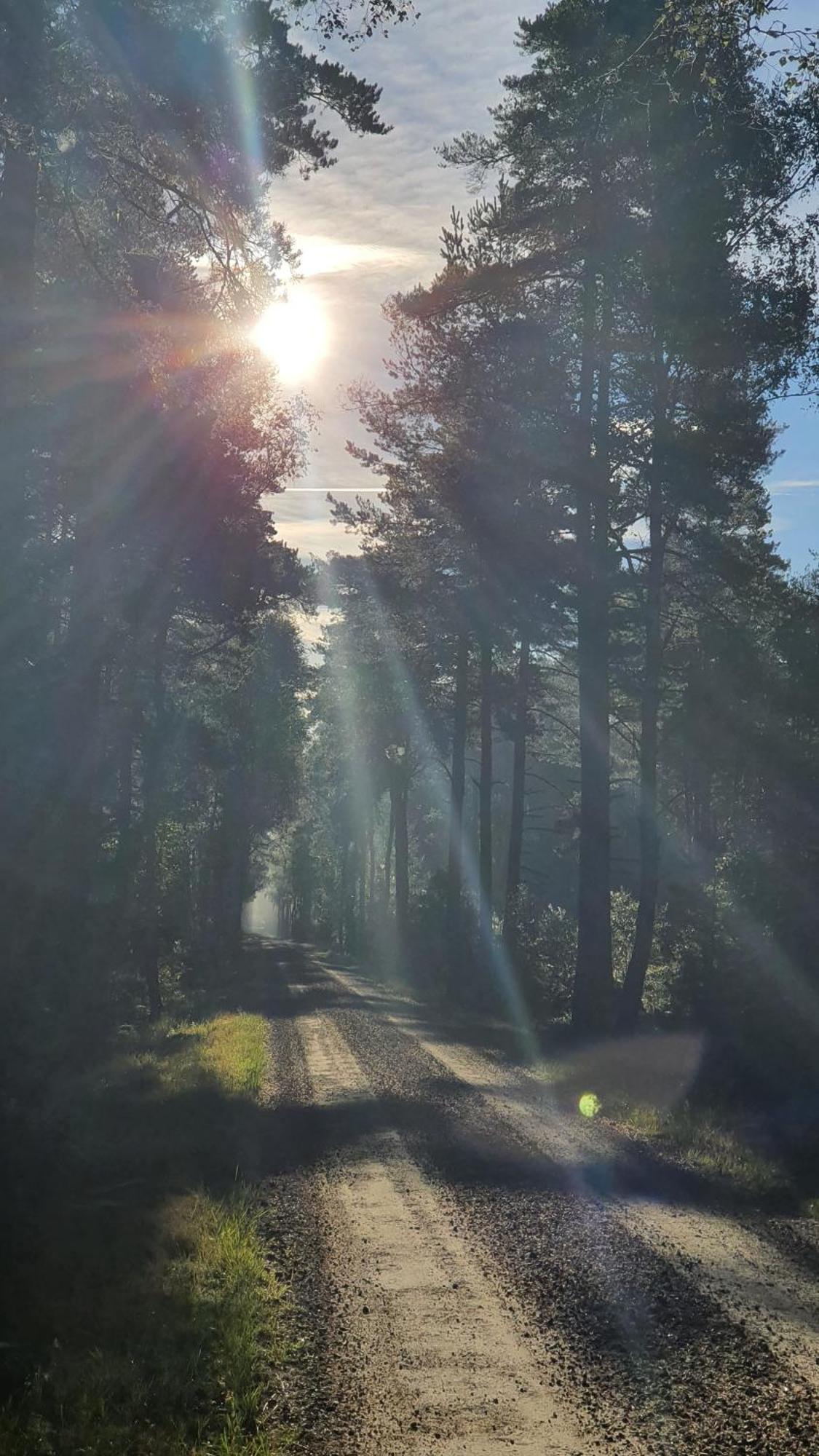 Soedra Ljunga Vandrarhem Ljungby  Extérieur photo